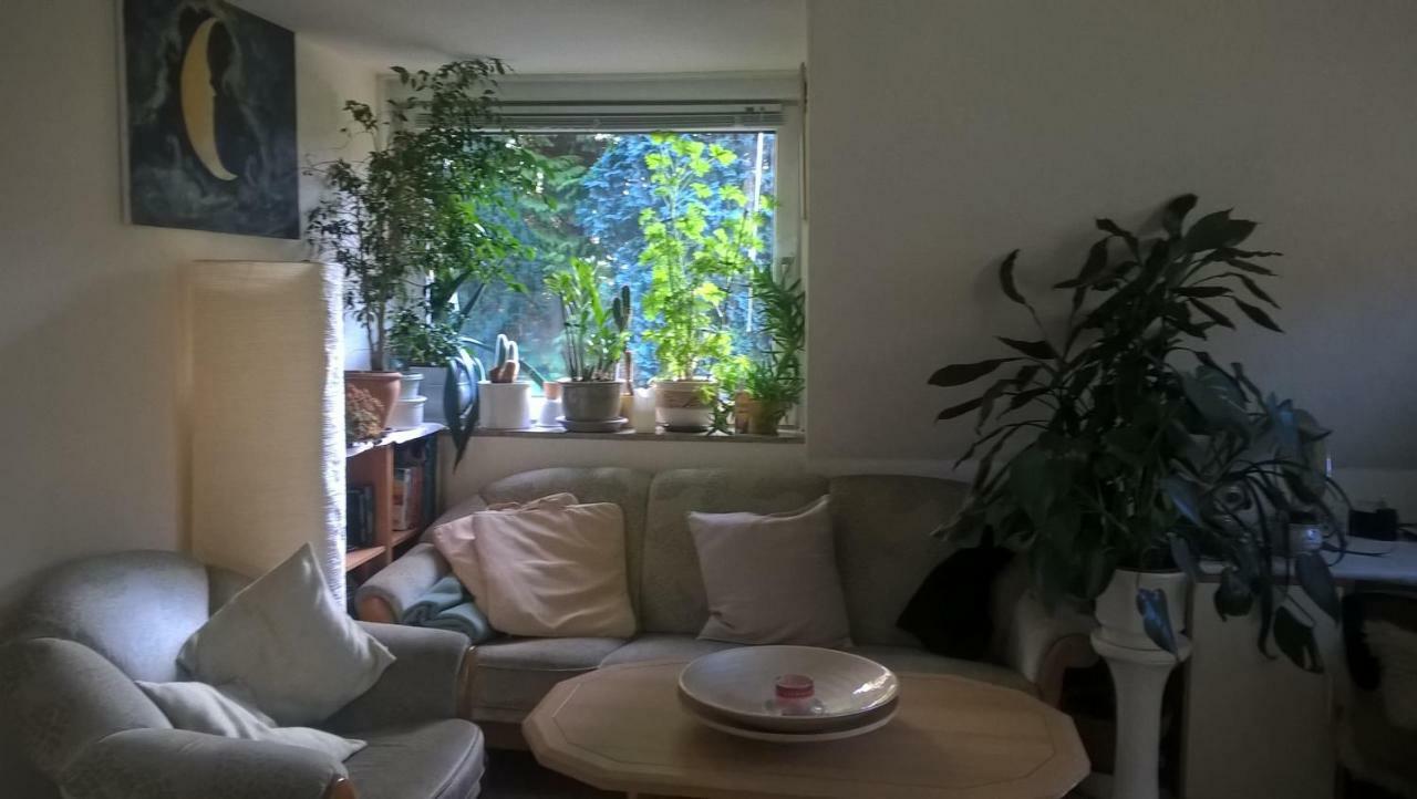 Gemuetl. Ferienwohnung Und Privatzimmer Hamburgo Exterior foto
